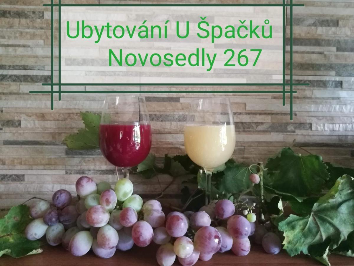Ubytovani U Spacku Palava Novosedly  Bagian luar foto