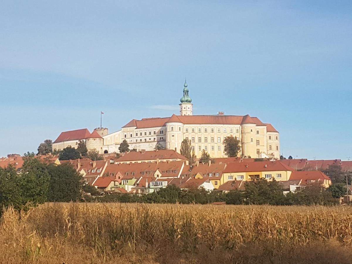 Ubytovani U Spacku Palava Novosedly  Bagian luar foto