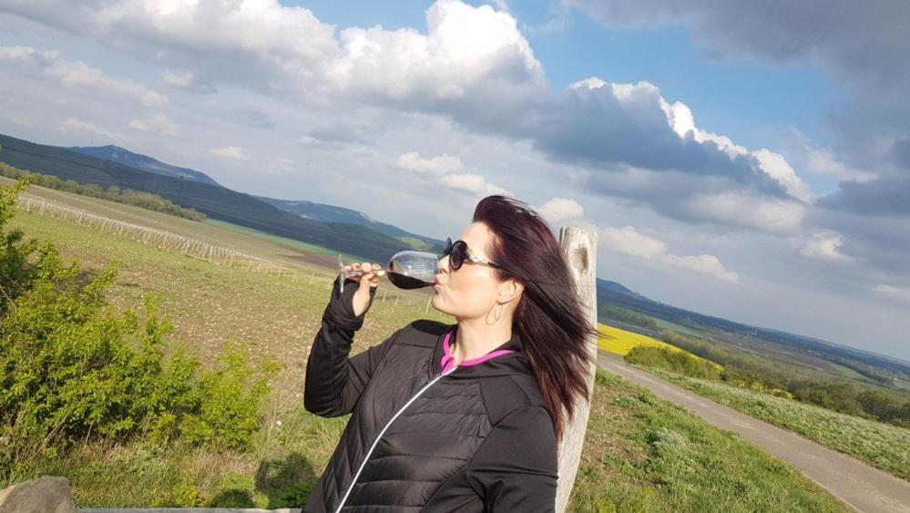 Ubytovani U Spacku Palava Novosedly  Bagian luar foto