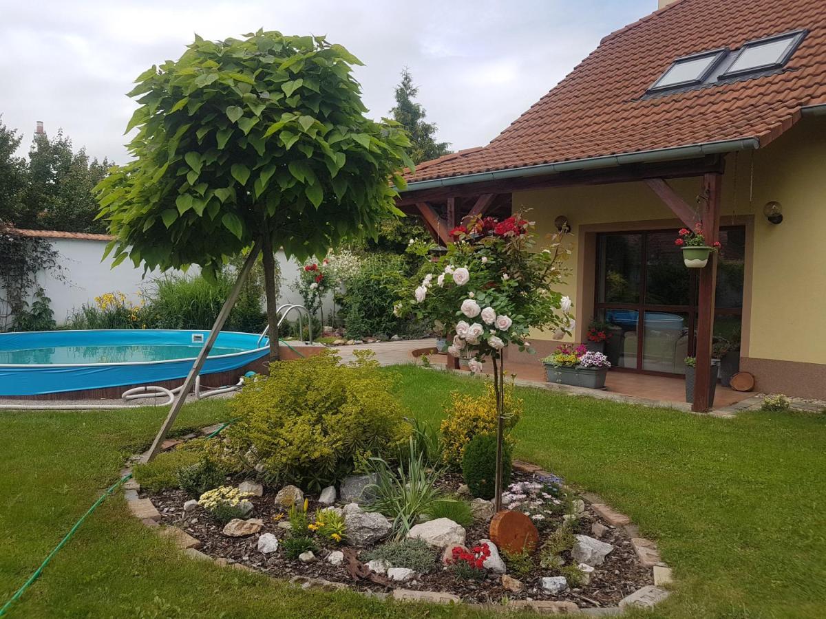 Ubytovani U Spacku Palava Novosedly  Bagian luar foto