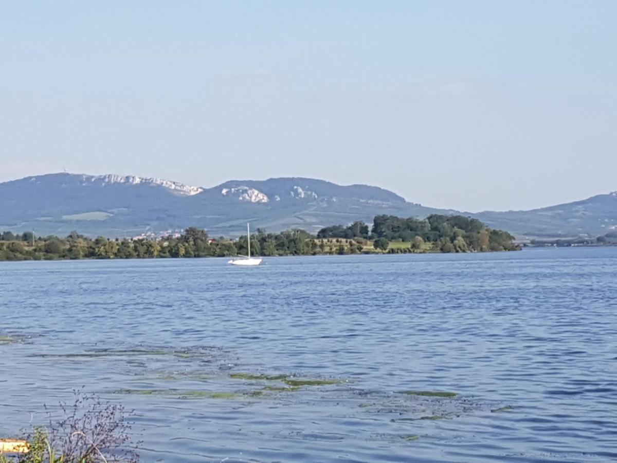 Ubytovani U Spacku Palava Novosedly  Bagian luar foto