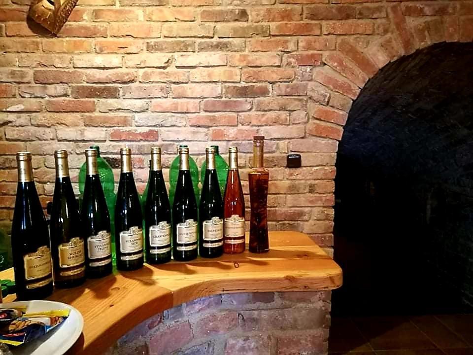 Ubytovani U Spacku Palava Novosedly  Bagian luar foto