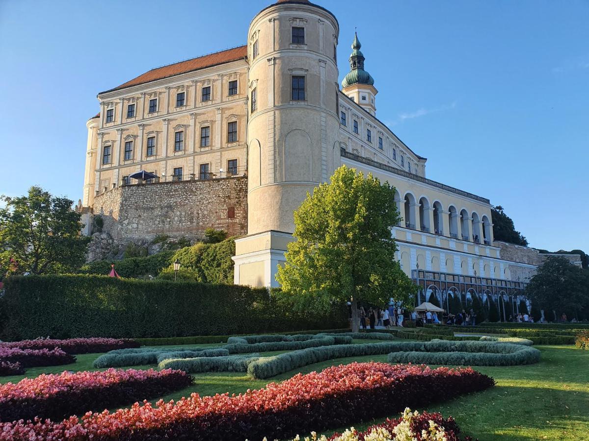 Ubytovani U Spacku Palava Novosedly  Bagian luar foto